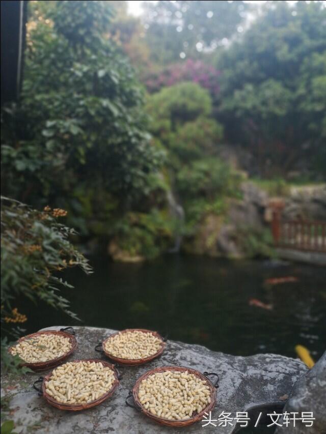 广西武鸣区石头寨