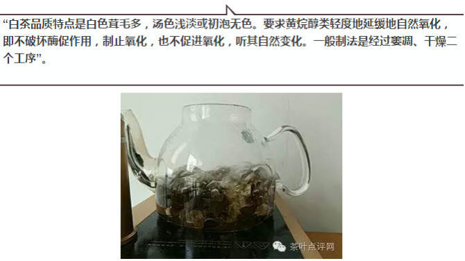 一泡古树白茶引发的争议