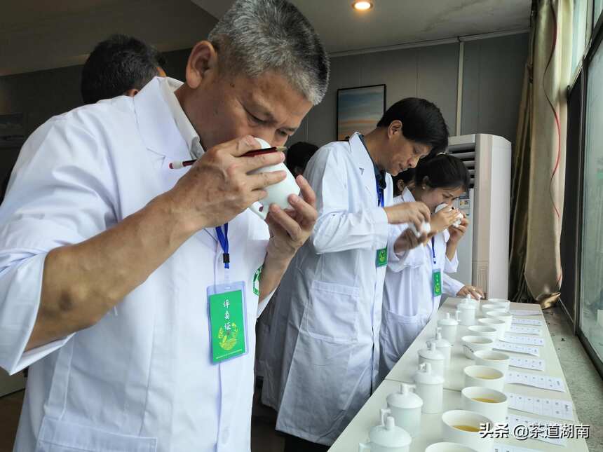 隆回县首届“邵阳红”手工制茶和茶艺技能大赛举行