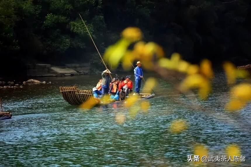 武夷岩茶｜一片叶子 带你了解武夷山的一方水土