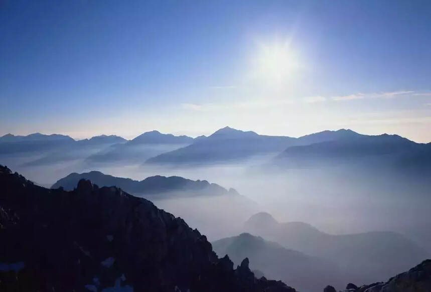 闻香识茶：顶级生普拥有的9种茶香，你知道几种？