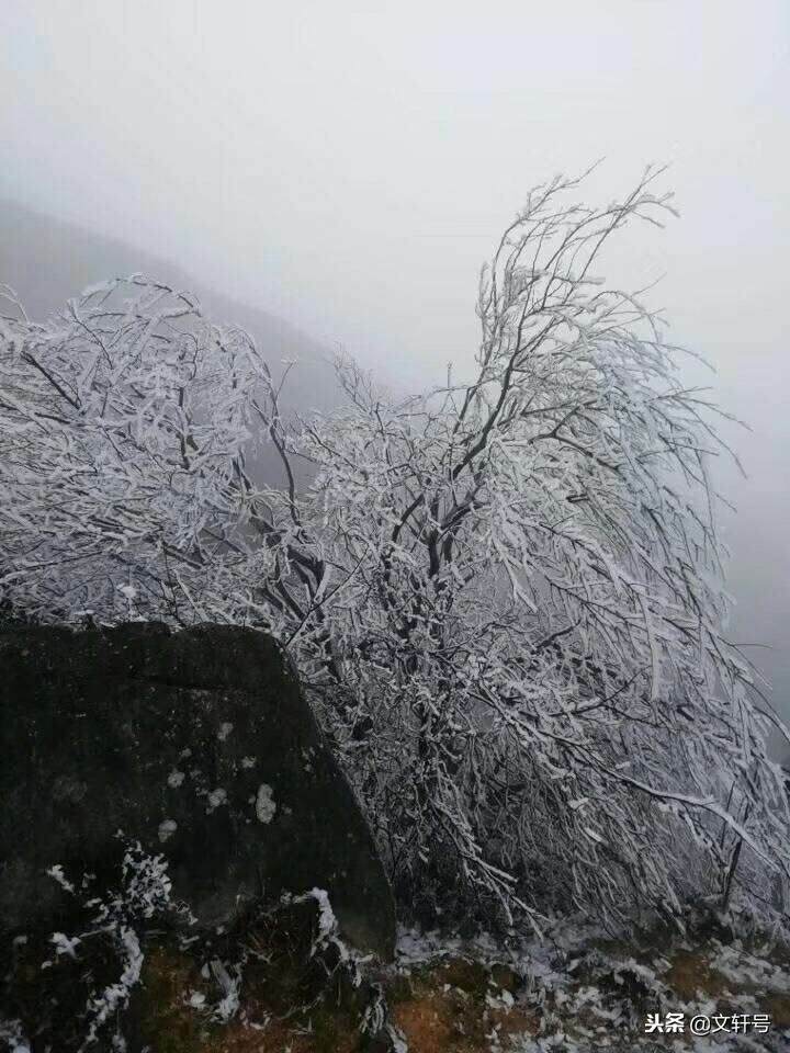 2019年元旦，上江乡白凿山雪景！