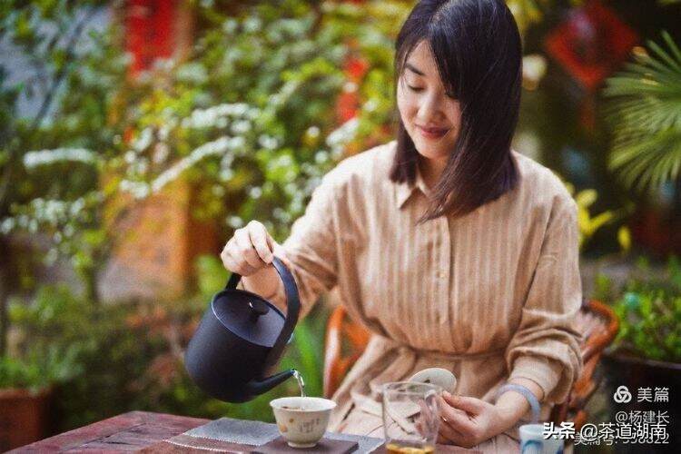 茶文：孙水河珊“茶书苑”