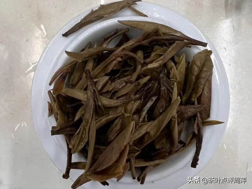 茶评：白茶出现黑梗是为什么？