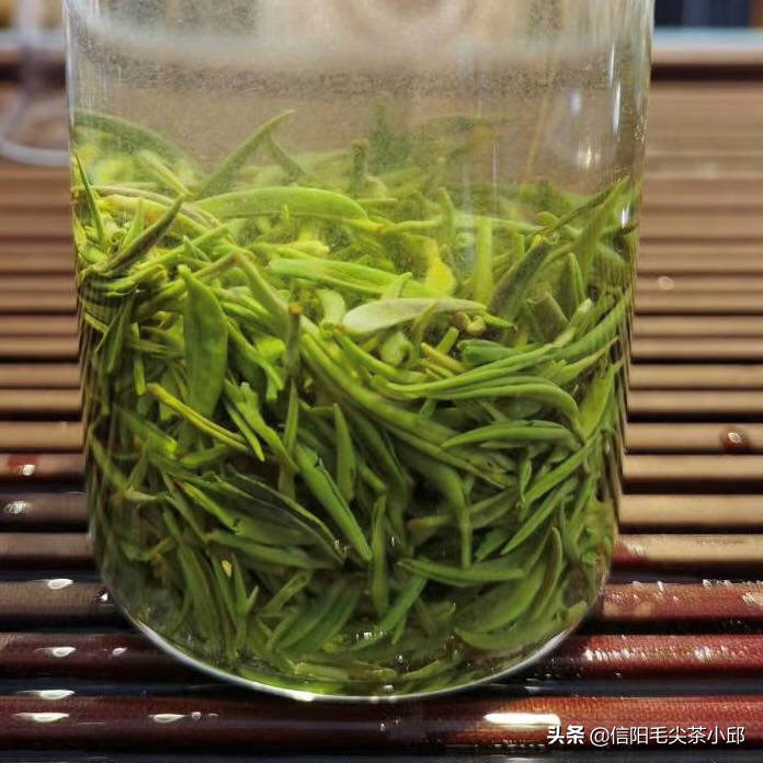 信阳毛尖春茶、夏茶、秋茶之间的区别你了解吗？