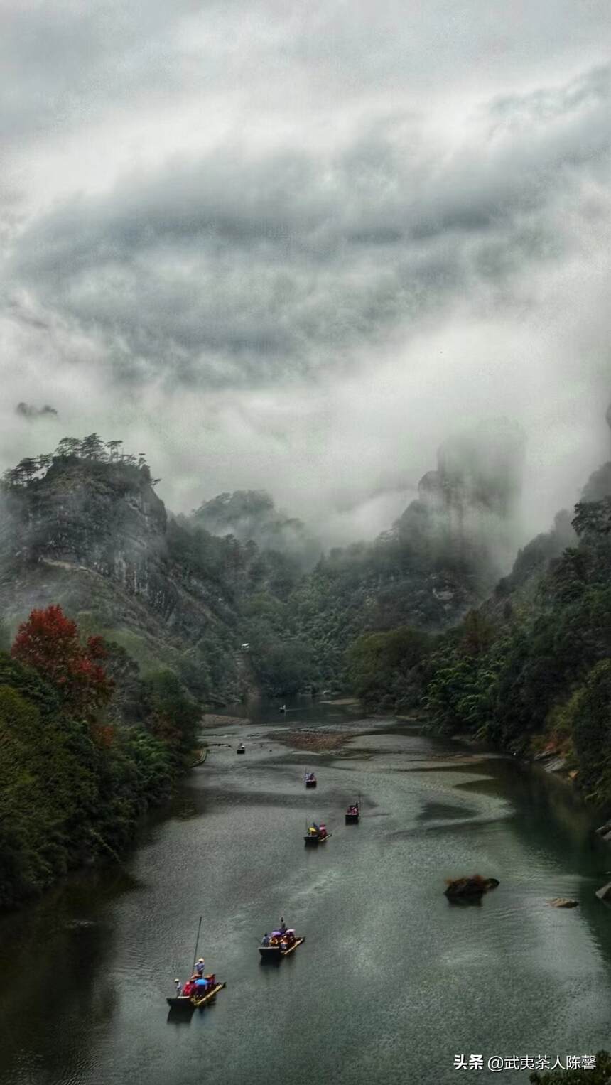 雨后的武夷山，是你我对夏日最美好的记忆之一了吧