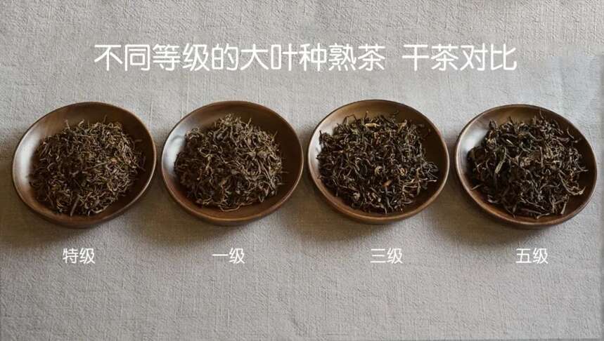 宫廷熟茶，皇帝喝过吗？