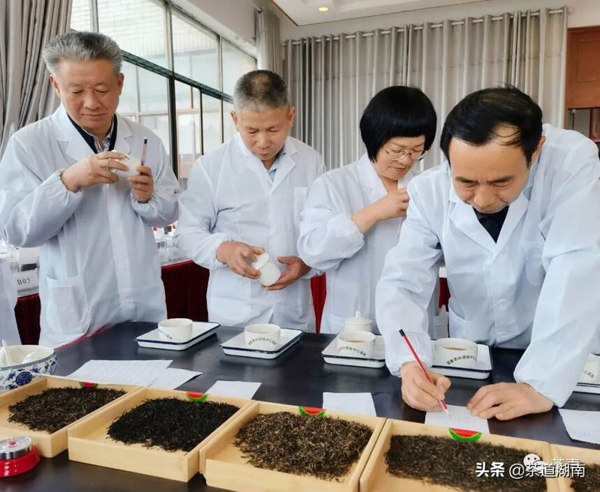 益阳十大名优红绿茶评选审评会在湖南城市学院举行