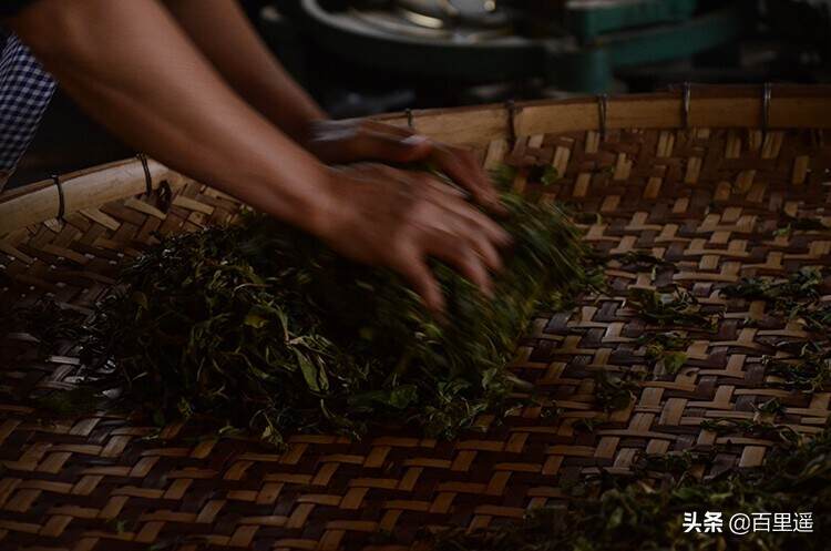 普洱散茶和紧压茶，有什么样的不同？哪个更好一点？