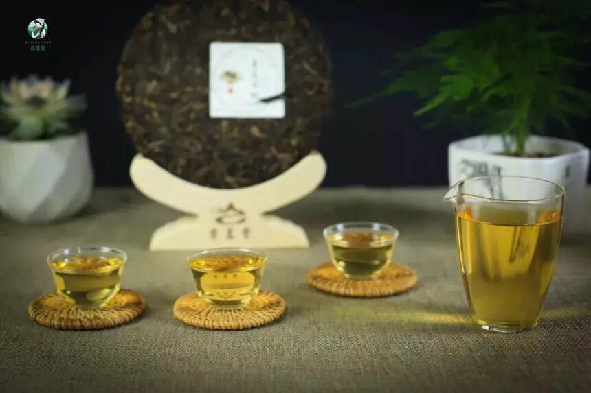 茶香的五个层次，你闻到过吗？