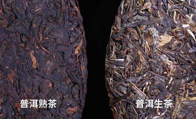 熟茶的渥堆发酵与其他茶类有何不同？