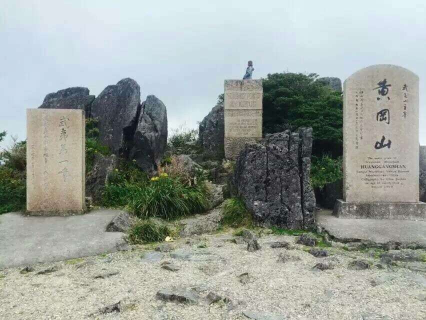 正山小种和金骏眉有啥区别？