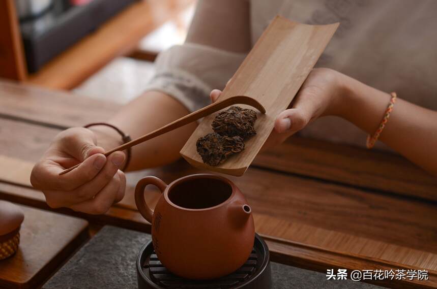 茶知识｜普洱茶8问8答