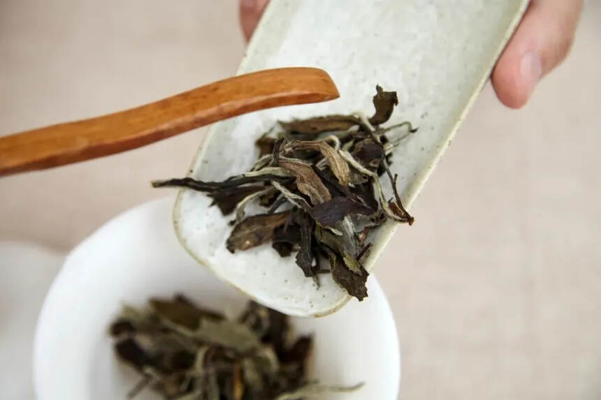 以润茶识 | 春节待客，这样“上茶”体面又周到