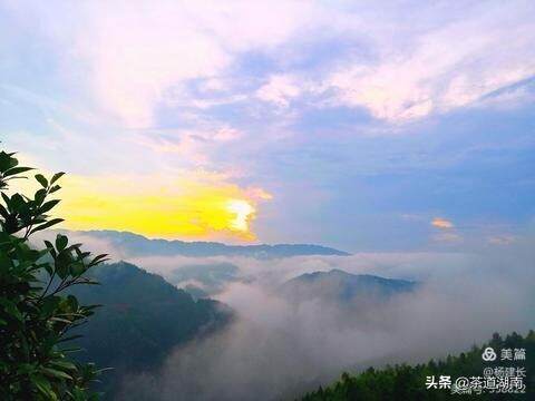 茶文：上天门，海喝“冰里春”