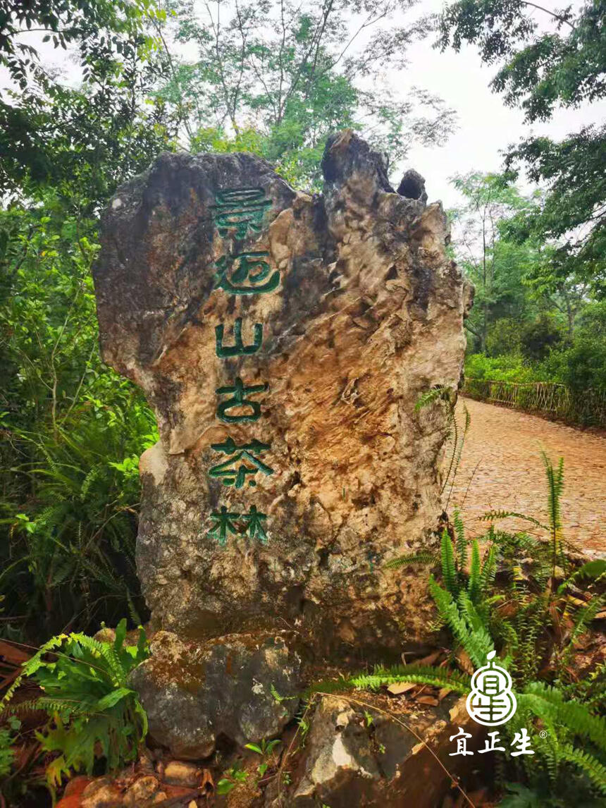 普洱熟茶在什么季节喝最好？