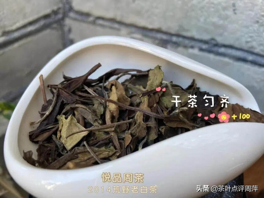 冬天太适合白茶啦！橄榄炭，红泥炉煮得白茶咕噜噜