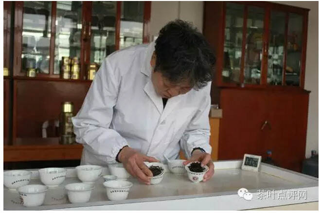 骆少君：岩茶岩韵烙心头 ——难忘骆少君与武夷茶的不解情缘