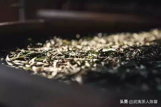 白茶这样存，才是存白茶的正确姿势，请收藏