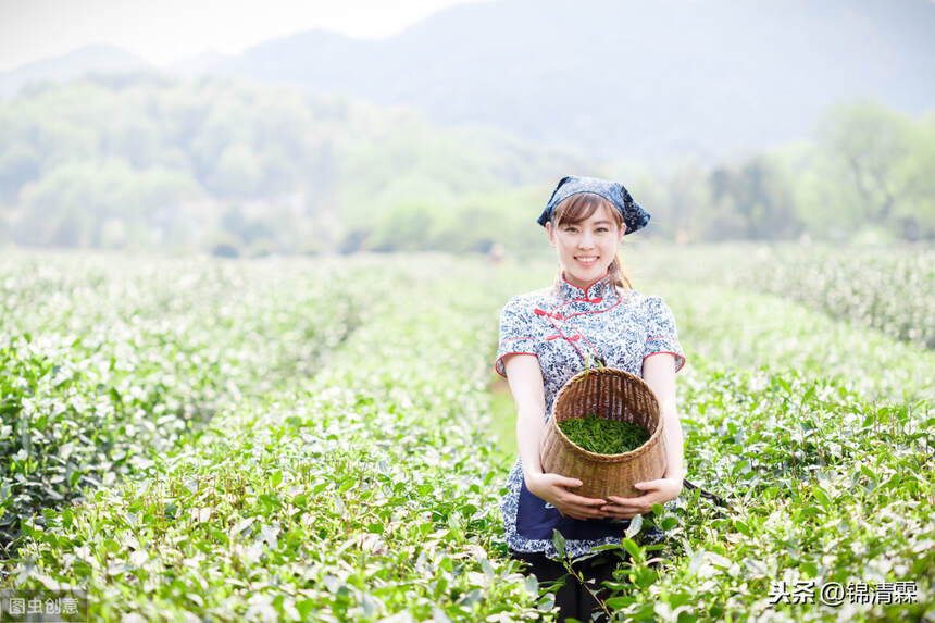 一个不会享受独处的人，走不进这静谧的世界，更感受不了茶道魅力