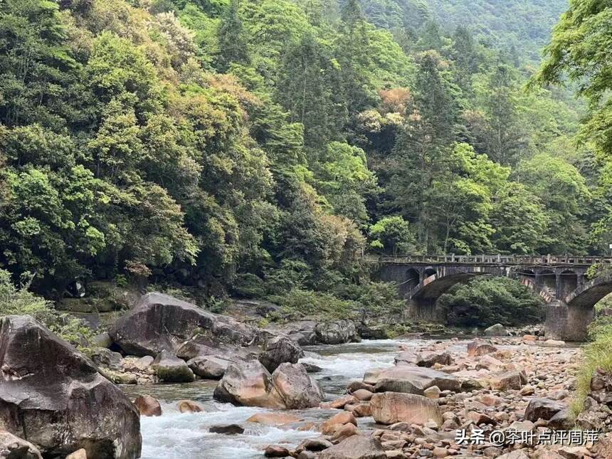 抵达桐木关：探索传统烟小种制作工艺