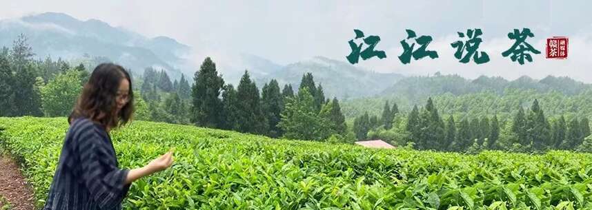 江江说茶 |“茶王”争霸 携茶来战的他们 都是好样的