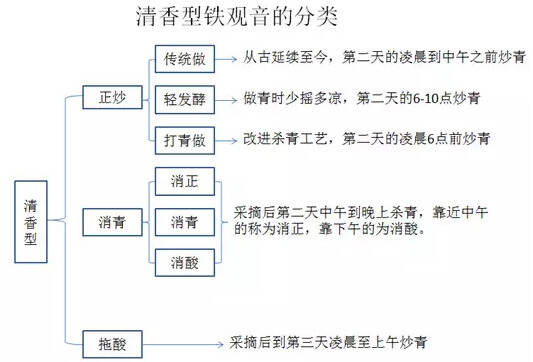 茶理王|安溪铁观音的正消拖，你分得清吗？