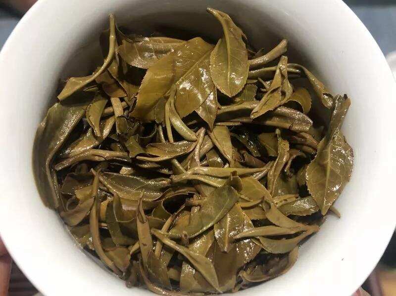 猫耳朵是什么茶？