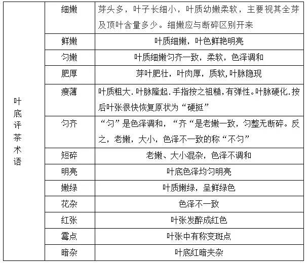 评茶达人「白茶篇」丨如何让自己看起来会喝茶