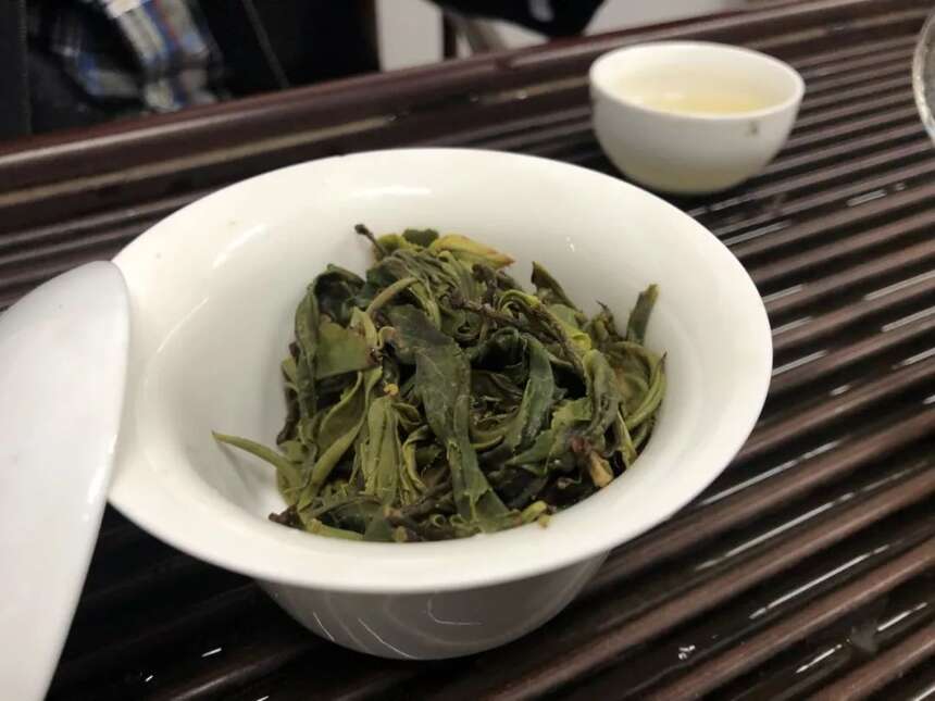 以润茶识 | 都说春茶要喝“早”，为何普洱新茶都没那么快上市？