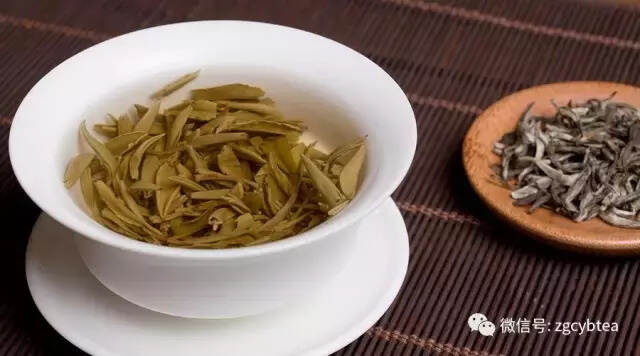 有一种传承叫做陈铮（父子双大师，一门茉莉香）