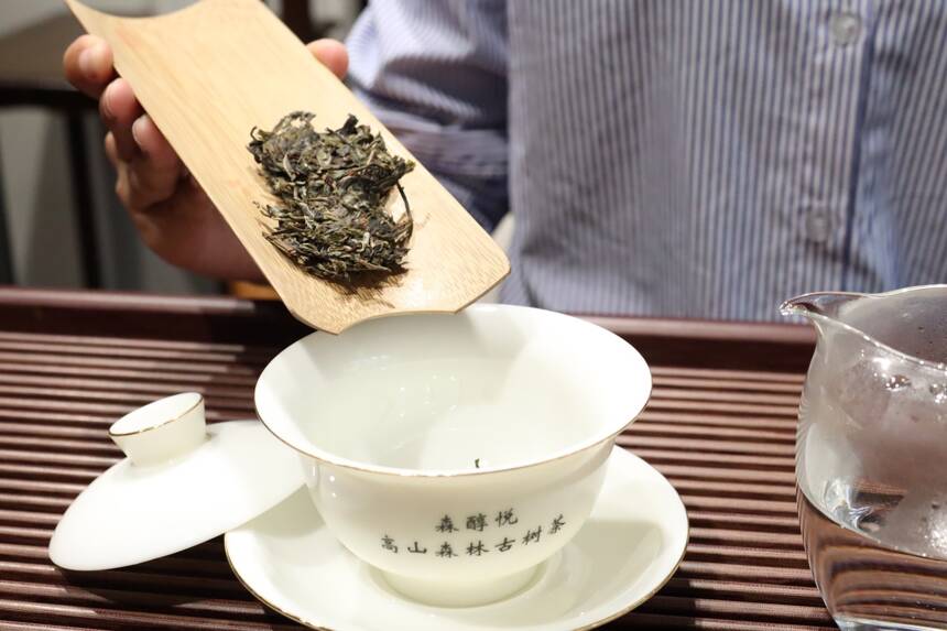 普洱茶名山头，带你走进易武七村八寨（下）