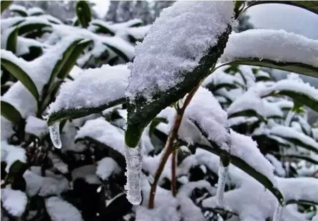 爱上武夷山，在你我相遇的一瞬间