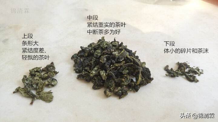 铁观音春茶马上上市了，怎么选购到好茶，这几个步骤很关键