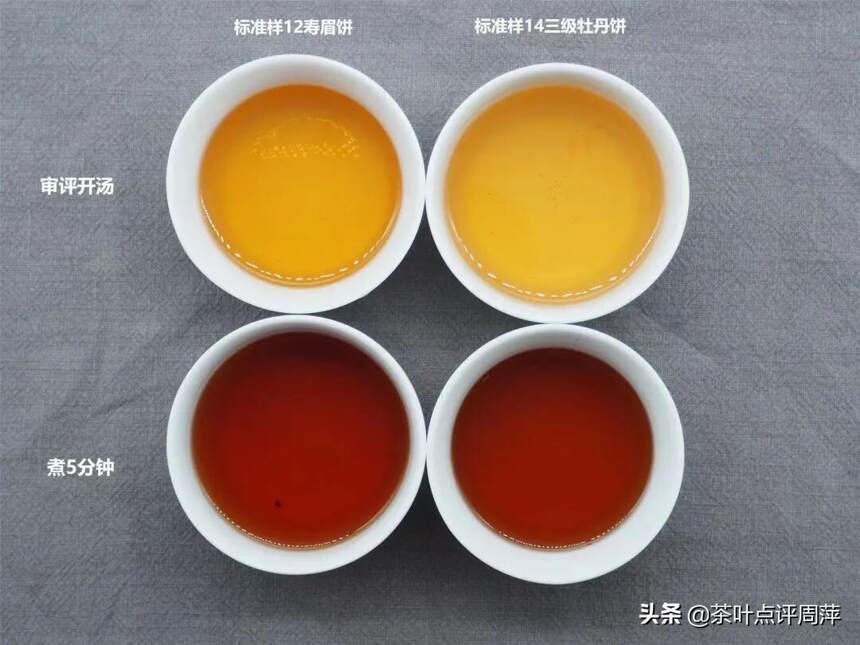 白茶高研班：一个学员上课后对做旧茶的所思所想，干货满满