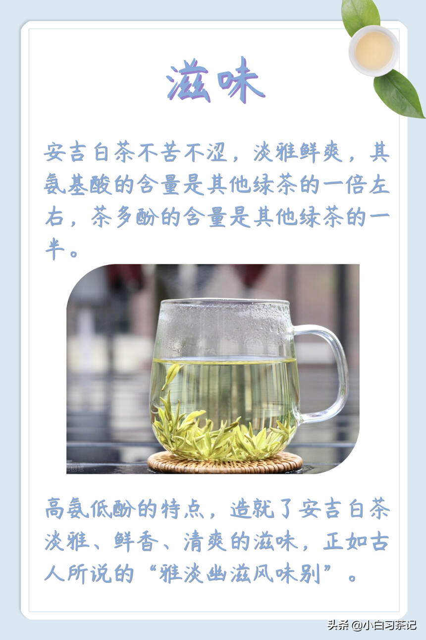 安吉白茶到底是不是白茶？干货满满