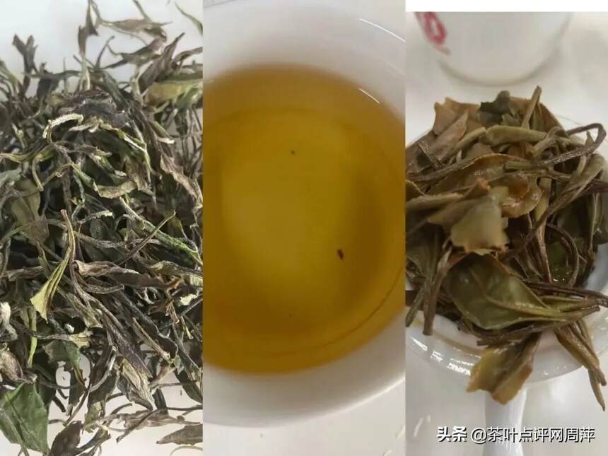 茶评：工艺好的白茶才适合存储