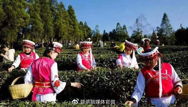 赣茶·动态 | 婺源绿茶入选第一批中国农业品牌目录价值评估榜