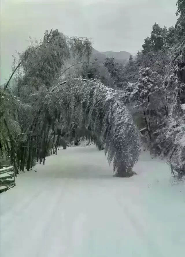 爱上武夷山，在你我相遇的一瞬间