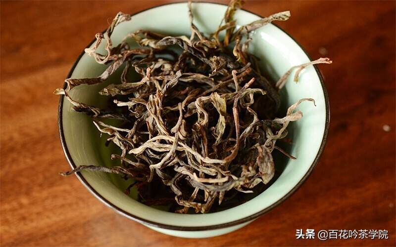 2019百花吟茶山行第九站曼松： 贡茶之乡的茶中精品