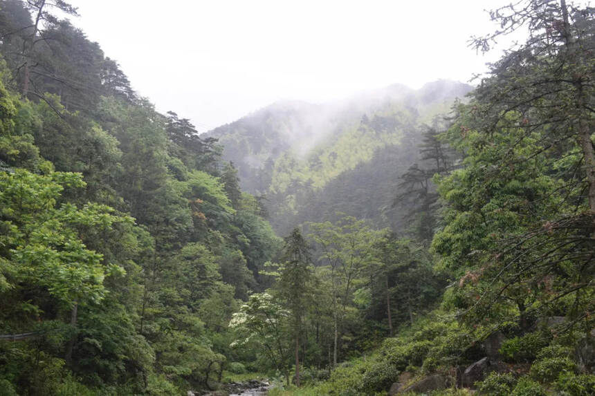 「江茶会·第6期」岁末年初之际 畅饮话新年