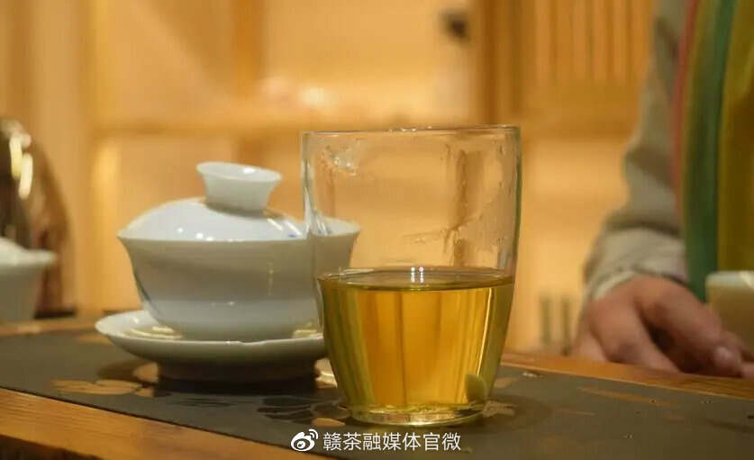 寻茶 · 第二季 | 越往大山深处走 茶愈珍贵...