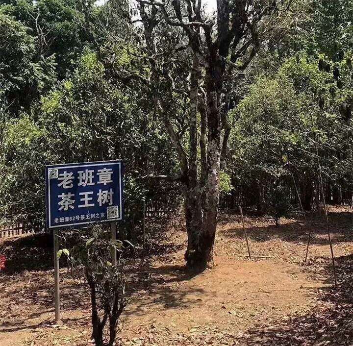 普洱茶与六大茶山的关系及运输路线有那几条？