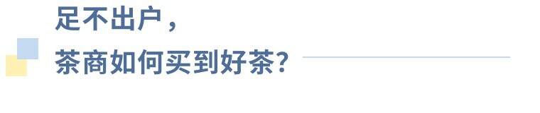 春茶供销两难，出路在哪里？