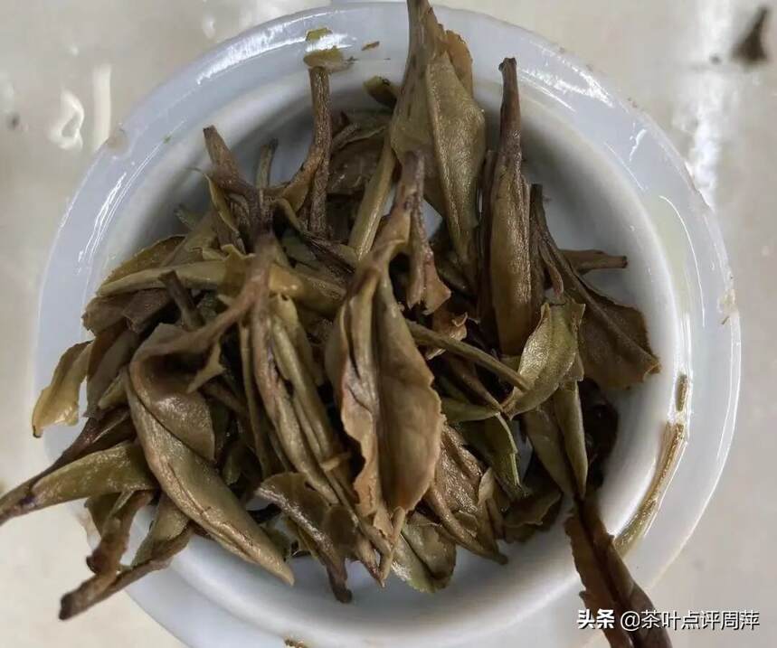 茶评：白茶的真假浓度真的是一个很大的误区