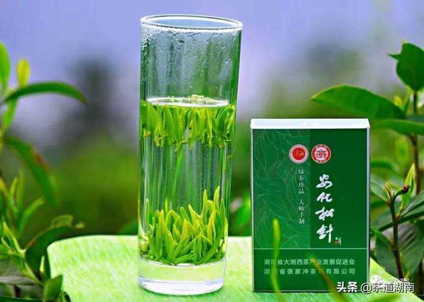 益阳名茶知多少？——茶叶书籍里的益阳名茶（上）