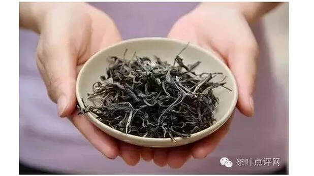 茶理王 | 普洱品鉴跳级班：古树茶也有黑历史