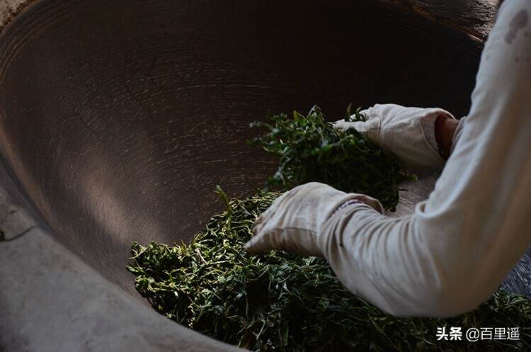 普洱散茶和紧压茶，有什么样的不同？哪个更好一点？