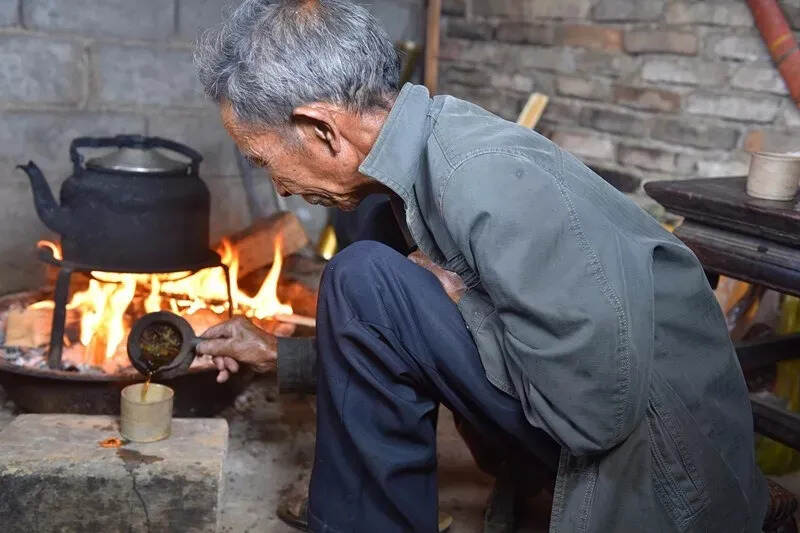 多张美图来袭！云南茶，用多样性讲述着不一样的中国故事