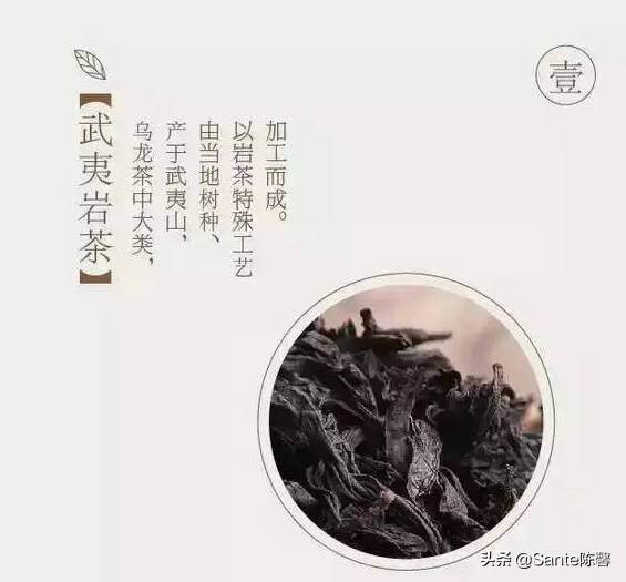 评茶篇——6，从源头走进武夷岩茶